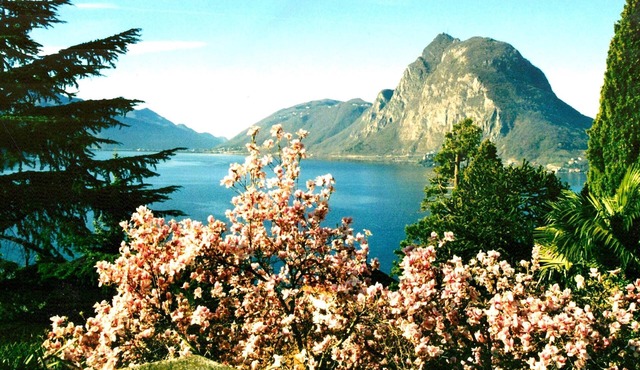 Barony "Violetta" near Castagnola lake, pool, air n conditioning, parking