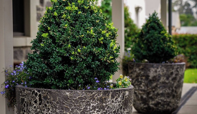 Barossa Bed & Breakfast