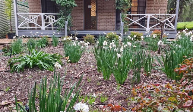 Barossa Country Cottages