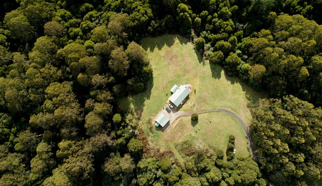 Barramunga Cosy Rainforest Retreat with Great Ocean Road convenience.