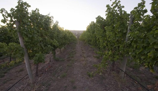 Barristers Block Vigneron Villa