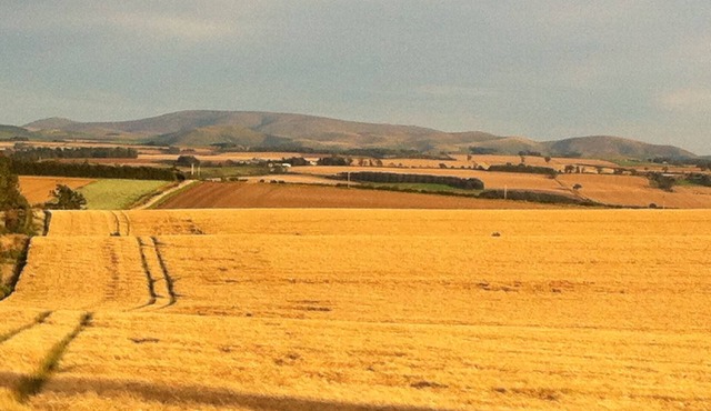 Bartlehill Cottage, Idyllic Pet Friendly Cottage, Beautiful Scottish Borders