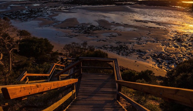 Barwon Heads : Stylish and spacious, pet friendly vintage chic beach shack
