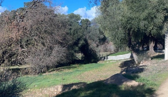 Bas de Villa , 2 Chambres