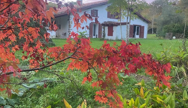 Basco Landaise family house for 10 people