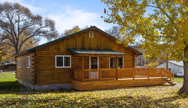 Base Camp Cabin on Main