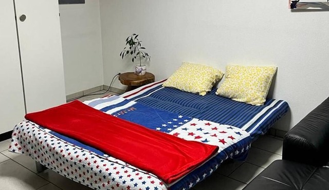 Basel - 5 mins away - Modern Basement Studio with Kitchen 35m2 in Muttenz