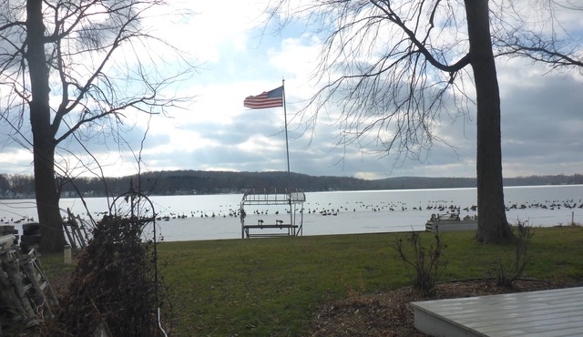 Baseline Lakefront - Beautiful views, shallow swimming area - Huron chain with 7 lakes