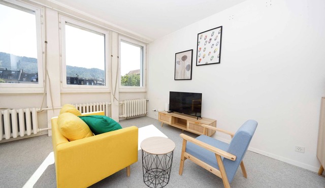 Basic & Cozy Zurich Studio , Central & Walkable