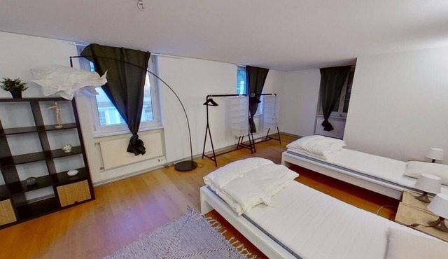 Basic Stay with Full Kitchen near Zurich