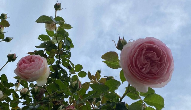 BASK IN LUXURY IN LES BAUX DE PROVENCE-FINDING AN "ART DE VIVRE IN PROFUND LUXURY