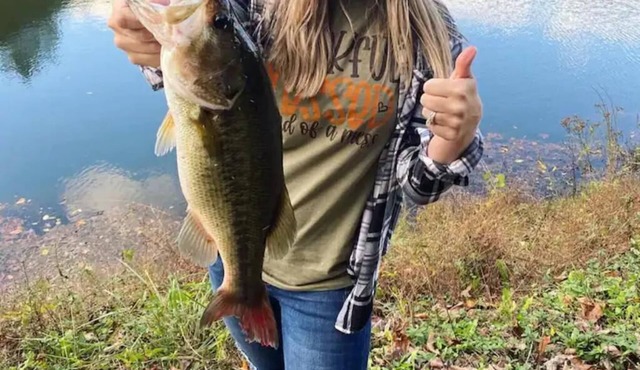 Bass Cabin: Arcade, Inflatables, Fishing & More!