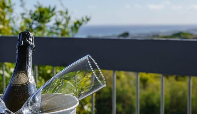 Bass Vista - watch the ships sail by