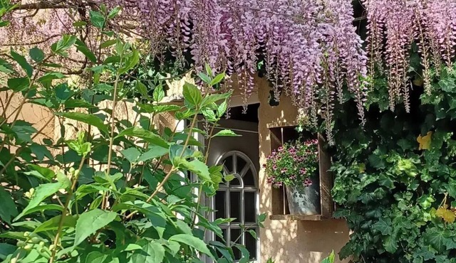 Bastide Cedrea