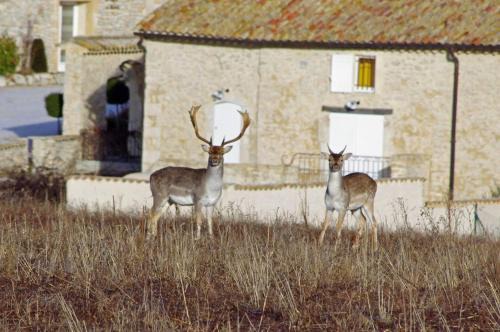 Bastide de Marius