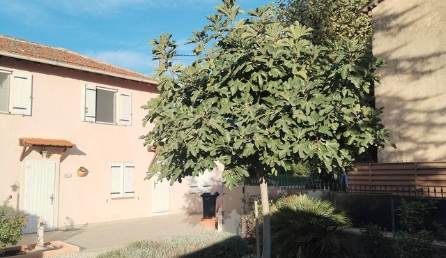 Bastide provenzal in the county and 5 km from the beach