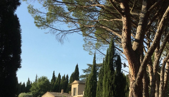 Bastidon de CASTEUSE (villa), Lourmarin, Luberon, Provence, park and garden