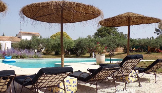 Bastidon provencal for 4 people, adult only.