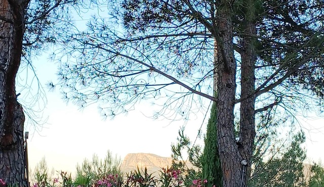 Bastidon Totalement Rénové et Indépendant