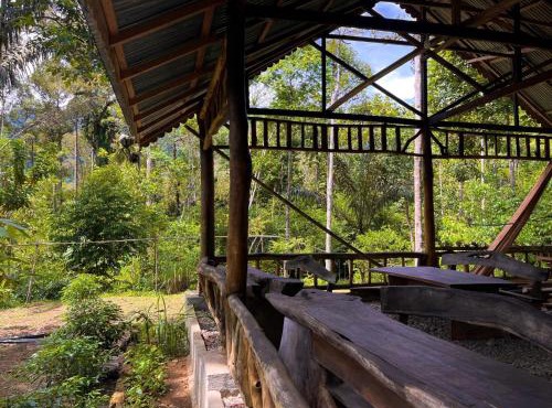 Batu Ridi Jungle