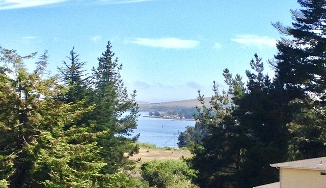 BAY CANYON VIEW-CHARMING SINGLE LEVEL HOME- FENCED YARD + SPA-NEAR EVERYTHING!