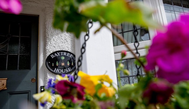 Bay Tree House Bed & Breakfast