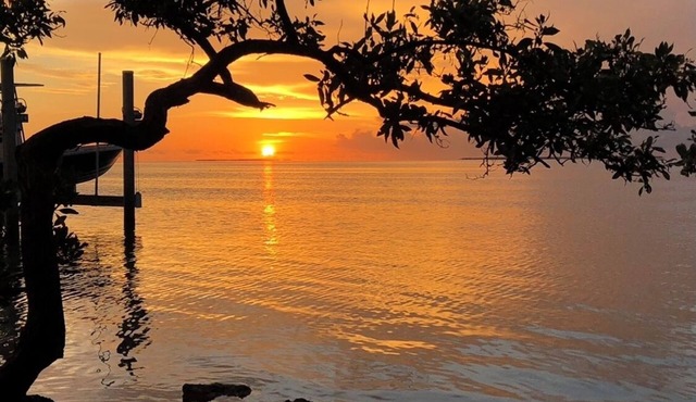 Bay view villa in Islamorada, palm trees, shade trees and two private porches