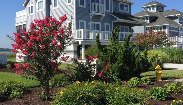 Bayfront location yet 250 steps to ocean. Huge pool; 2 masters; 6 parking spaces