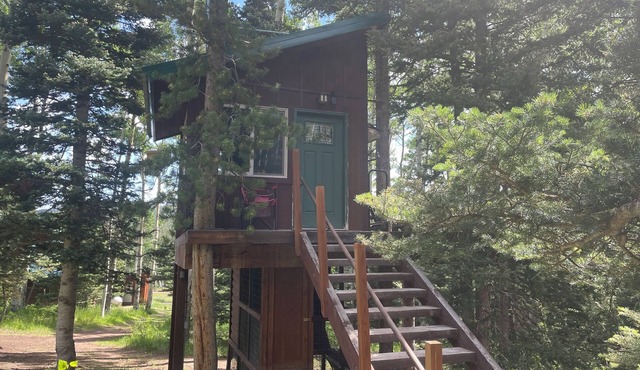 Bayly's Treehouse Retreat