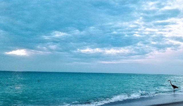 Bayport Beach & Tennis Club ~ A Beach to Bay Tropical Oasis!