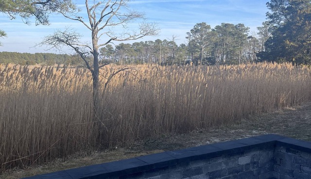 Bayside Resort Golf Club. Brand New 5BR sleeps 10- 12. Enjoy all the amenities.