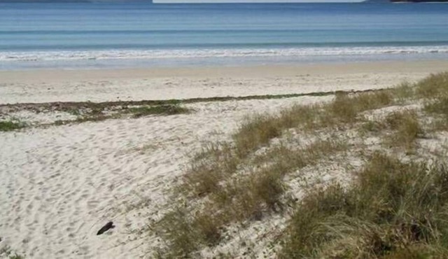 Bayswater Beach House - Unit 2