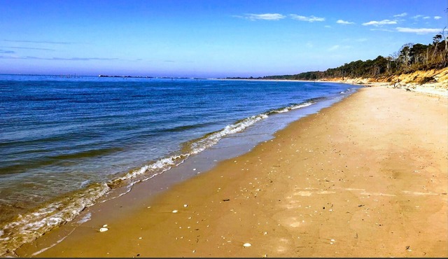 Beach and RV Camping experience