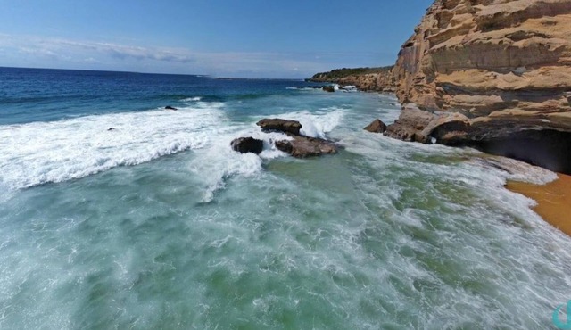 Beach Blossom - Apartment and walk to the beach!