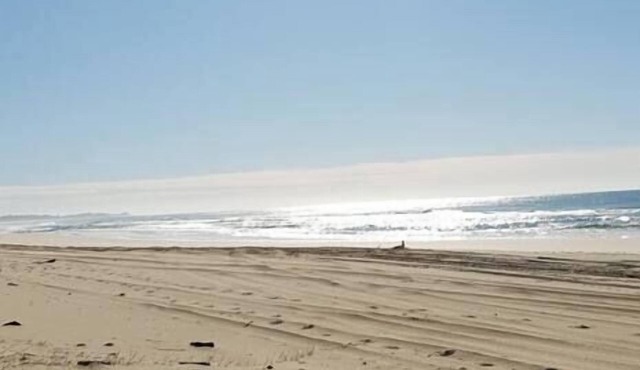 Beach Bunker: Retro Charm steps to Scotts Beach