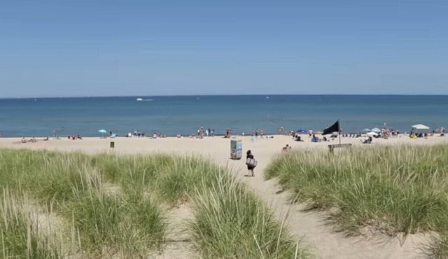 Beach, casino, pet-friendly cottage
