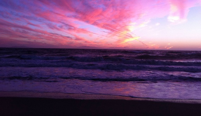 Beach Classic & Tropical Backyard Bliss!
