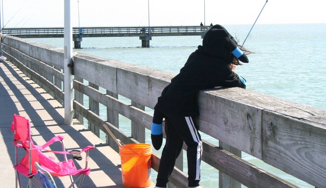 Beach Condo Walk to the sand beach and Texas State Aquarium.