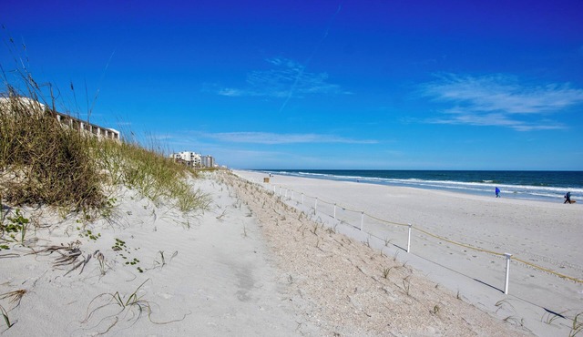 Beach Cottage II, near the beach, TPC Sawgrass, Mayo Clinic & Ponte Vedra Beach