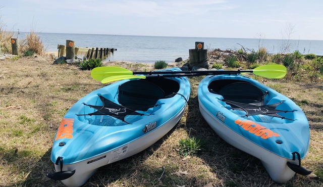 BEACH COTTAGE BY THE SEA.