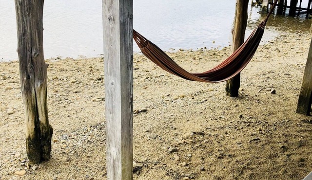 Beach Cottage in the Sand