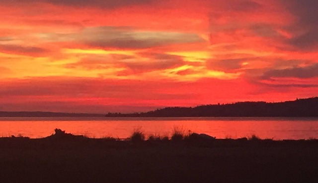 Beach cottage on fabulous Maxwelton Beach, Whidbey Island, WA.