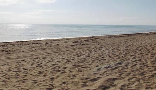 Beach Cottage, Steps to Beach. Updated and Great Deal for Money. Pet Friendly.