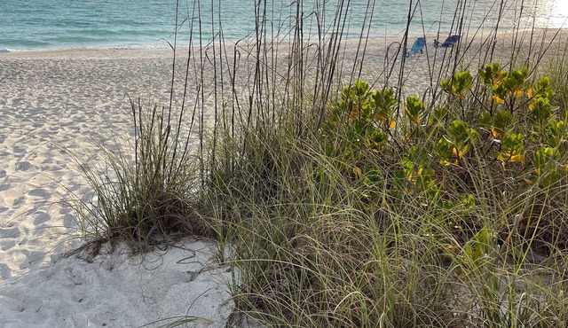 Beach Cottage with a Private Hot Tub