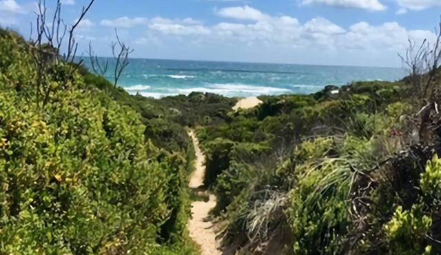Beach Daze - just a short stroll to the beach access track