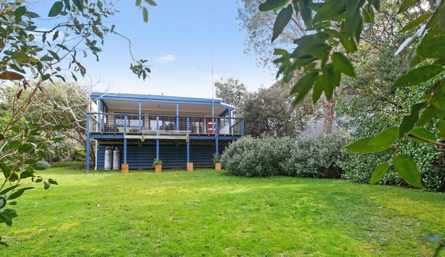 Beach Fig - Peace & Tranquility