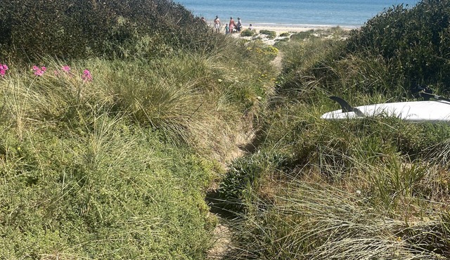 Beach Front Apartment