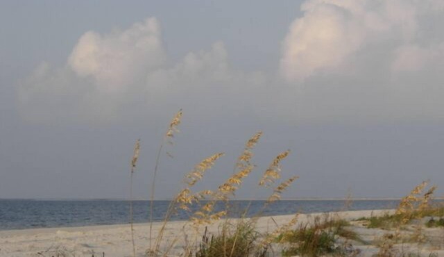 Beach Front, Beach/Gulf View, 2 Pools, Stylish, Comfortable & Relaxing