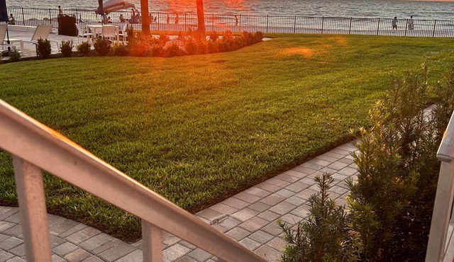 Beach front condo overlooking the Gulf of Mexico.