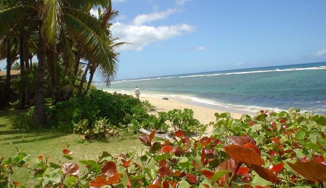 Beach Front Estate w/Guest Cottage, Sandy Beach, Heated Pool/Spa: Please Inquire